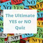 Yes or No Quiz