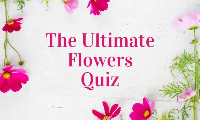 Flowers Quiz