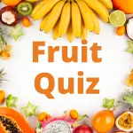 Fruit Quiz
