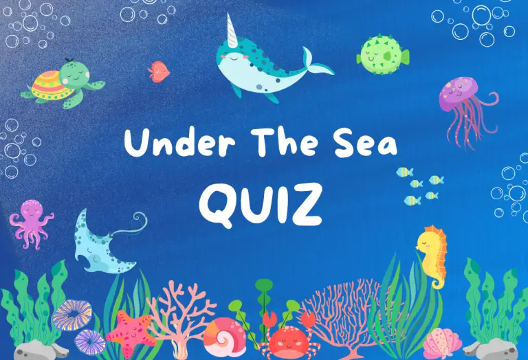 Under The Sea Quiz for Kids